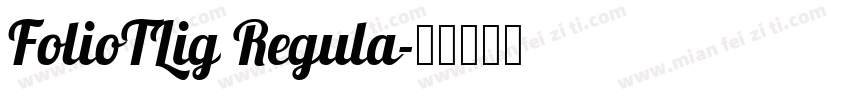 FolioTLig Regula字体转换